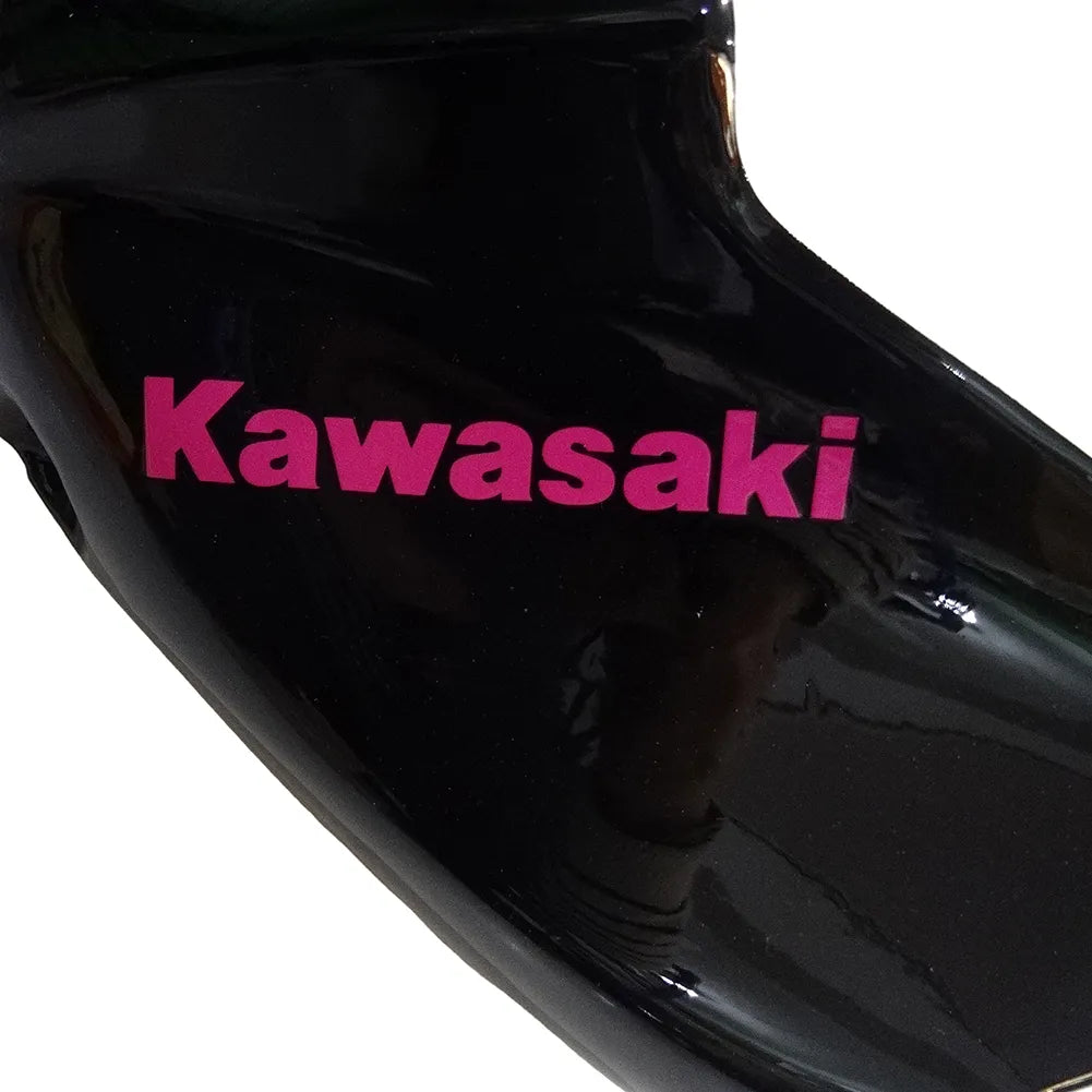 Kawasaki Ninja 650R / ER-6F 2012-2016 Black tail section fairing rear view