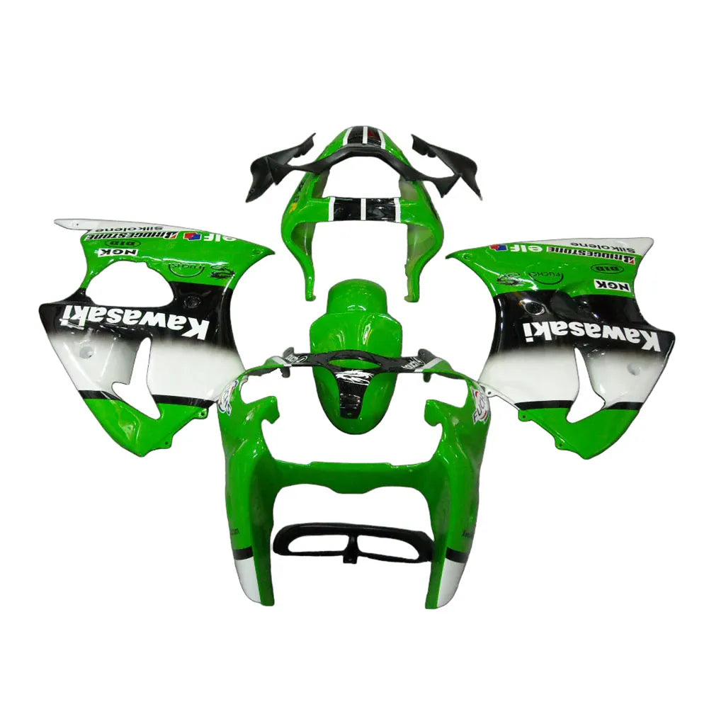 Kawasaki ZX-6R / 636 2000-2002 Black, Green, and White tail section fairing rear view