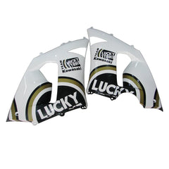 Kawasaki ZX-6R / 636 2005-2006 Black and White Lucky Strike Edition with Logos tail section fairing detail view 2