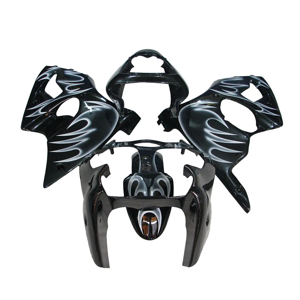 Kawasaki ZX-6R / 636 2000-2002 Silver, Black, and Flame tail section fairing side view
