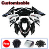 Kawasaki ZX-10R 2004-2005 WEST Edition Style A Fairing Kit without Logos