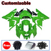 Kawasaki ZX-10R 2004-2005 Matte Black Green No-Letter Fairing Kit without Logos