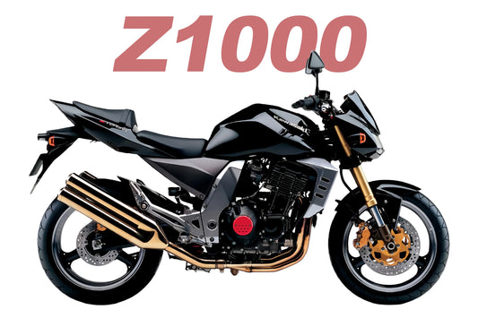 Kawasaki Z1000 motorcycle fairings