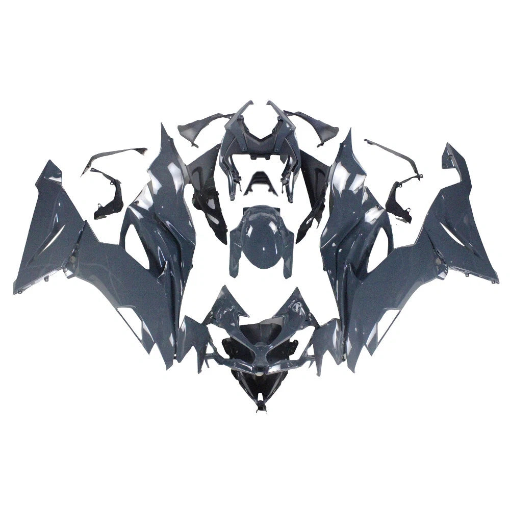 Kawasaki ZX-6R 2019-2023 Injection-Model Fairing